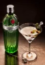 Tanqueray 10.webp