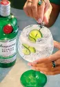 Classic Gin & Tonic with Tanqueray London Dry _ Tanqueray ROW.webp