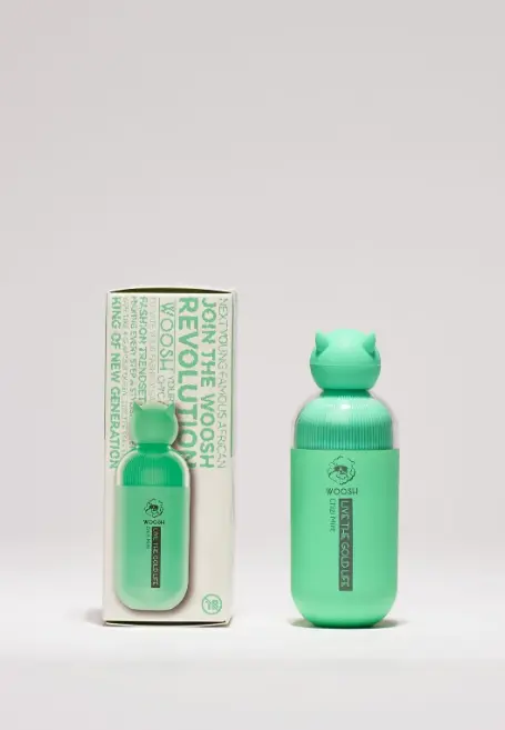 Chizi Mint 3000 Vape