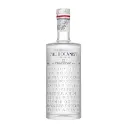 Botanist Dry Gin 750ml